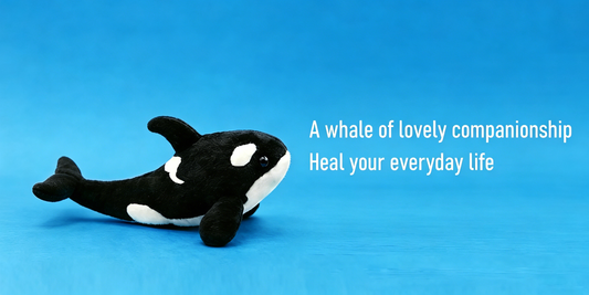 Realistic orca plush guide for ocean-animal collectors